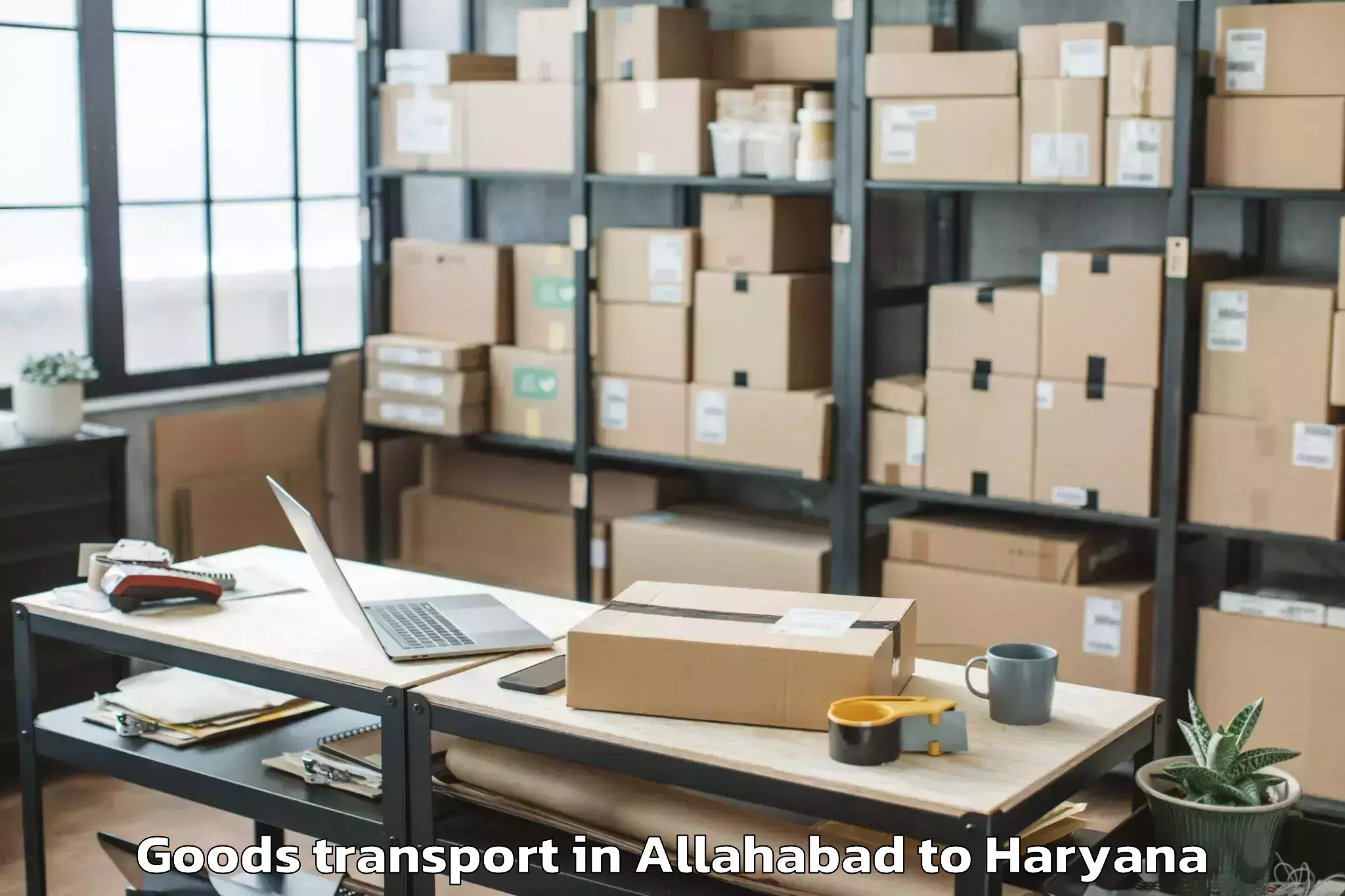 Top Allahabad to Gold Souk Mall Gurgaon Goods Transport Available